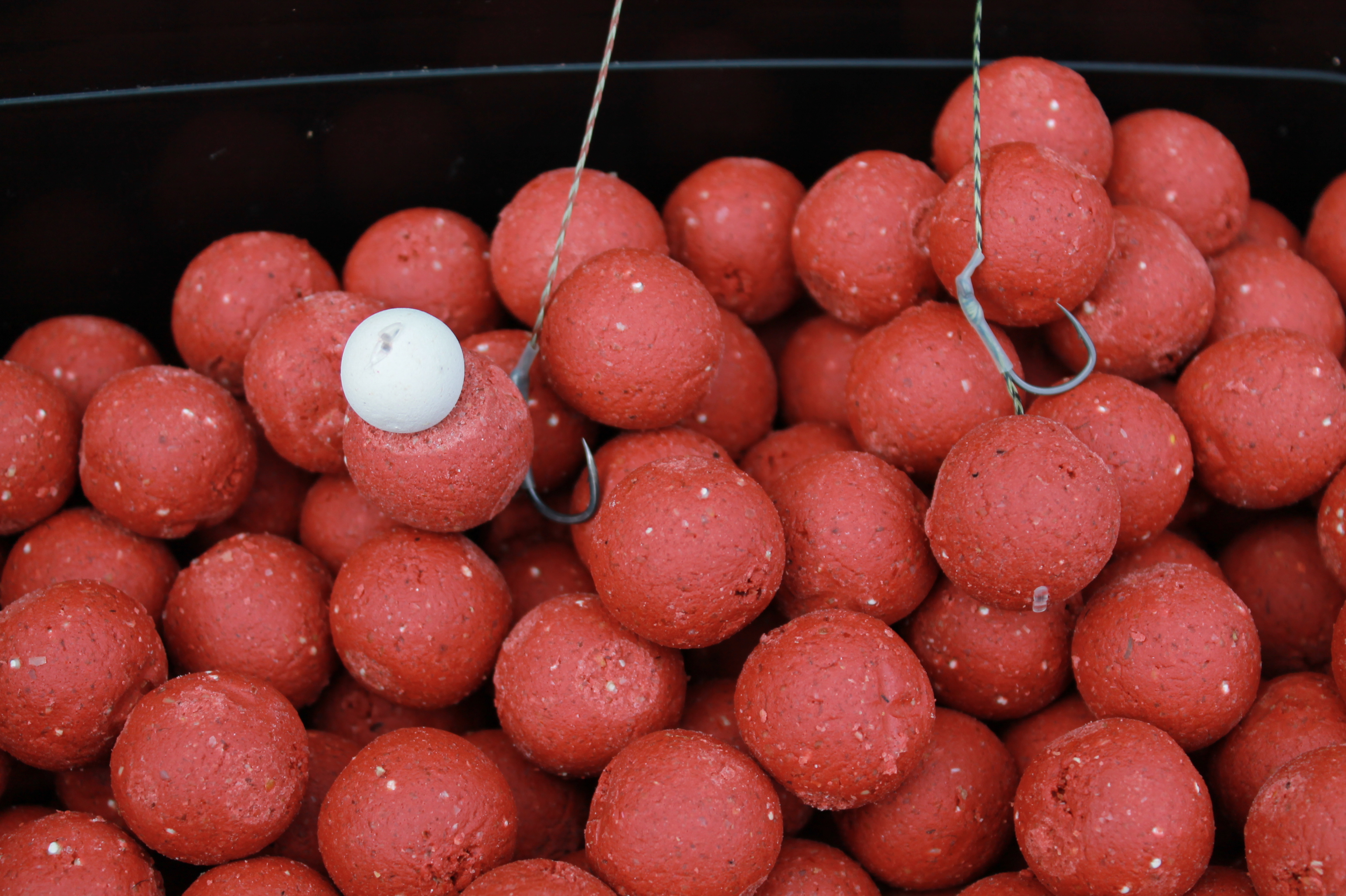 Boilies BT Baits
